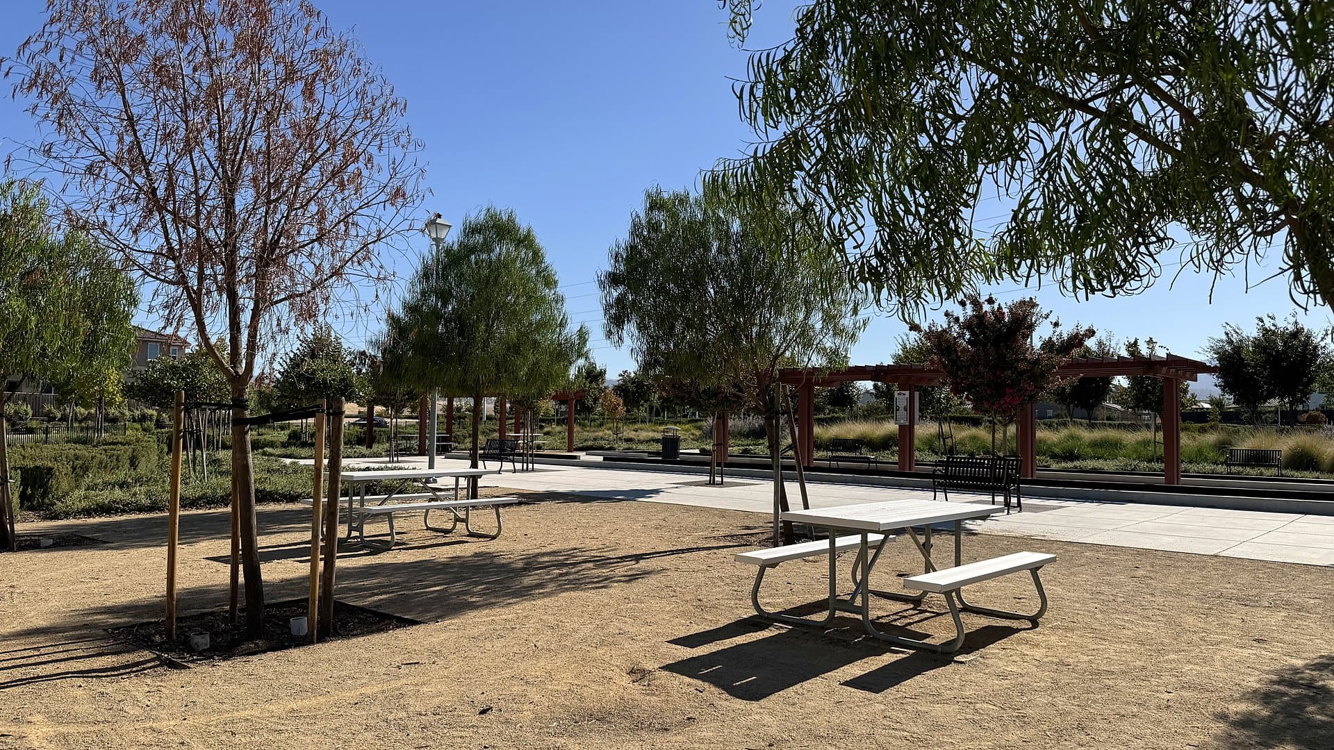 Picnic tables under young trees at the neighborhood park