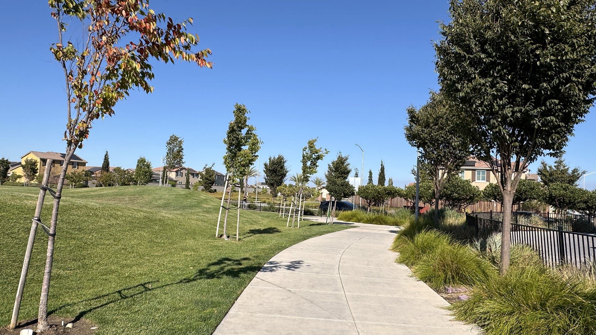 Tree-lined walking path curving through the neighborhood park
